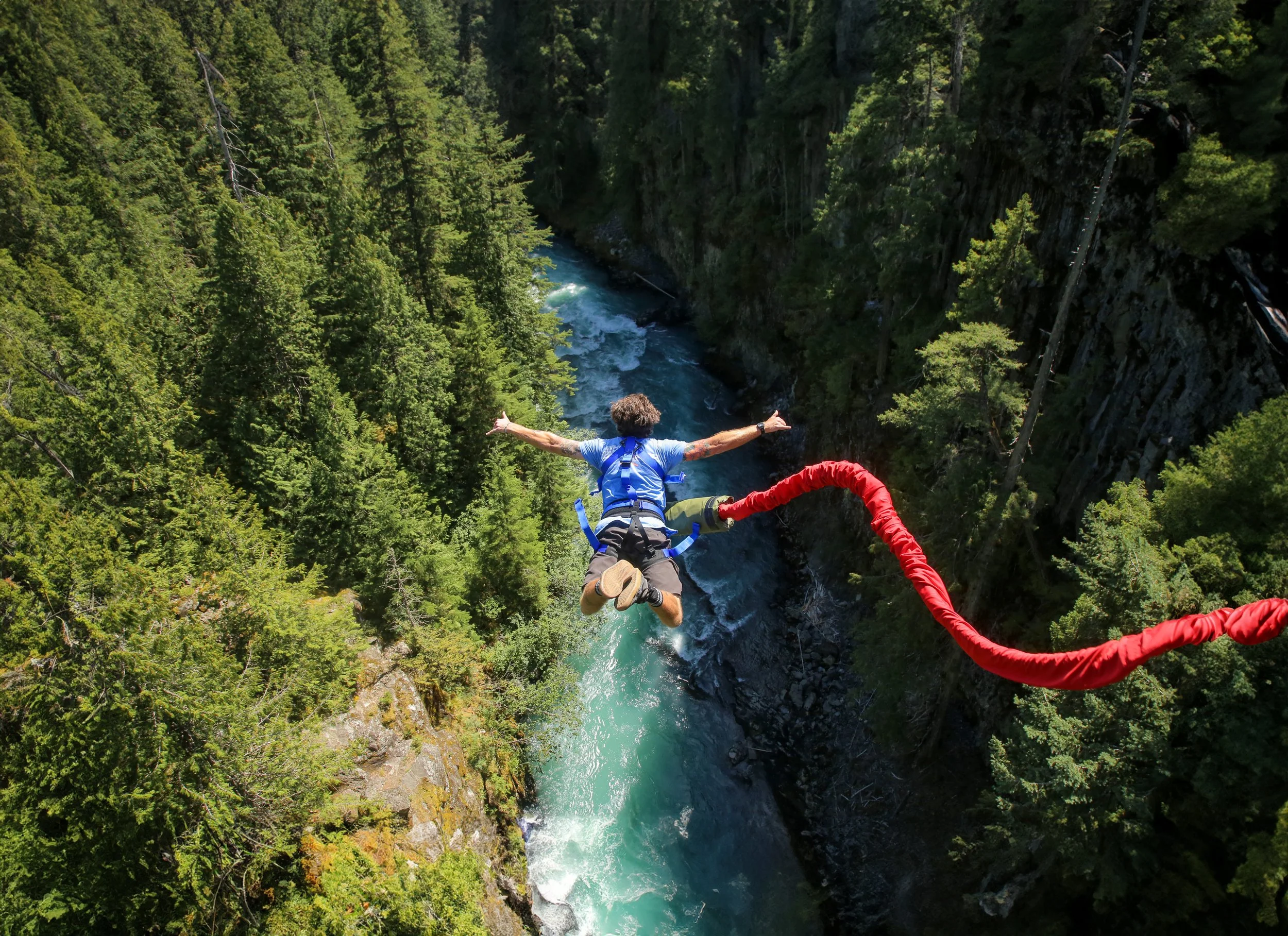 Whistler Bungee
